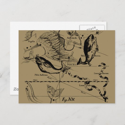 Pisces Constellation Hevelius 1690 Decor Briefkaart (Voorkant / Achterkant)