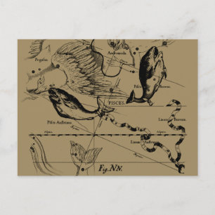 Pisces Constellation Hevelius 1690 Decor Briefkaart