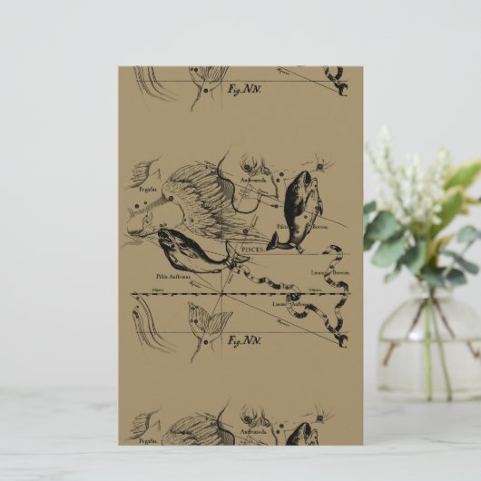 Pisces Constellation Hevelius 1690 Decor Briefpapier (Staand voorkant)
