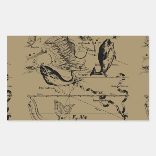 Pisces Constellation Hevelius 1690 Decor Rechthoekige Sticker (Voorkant)