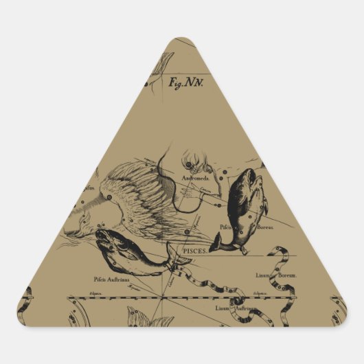 Pisces Constellation Hevelius 1690 Decor Sticker (Voorkant)