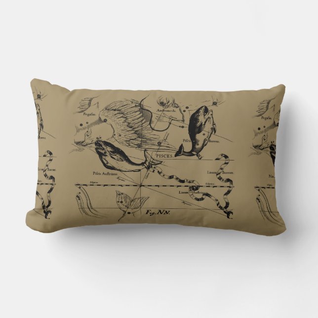 Pisces Constellation Hevelius 1690 Engraving Kussen (Voorkant)