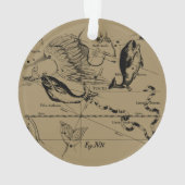 Pisces Constellation Hevelius 1690 Engraving Ornament (achterkant)