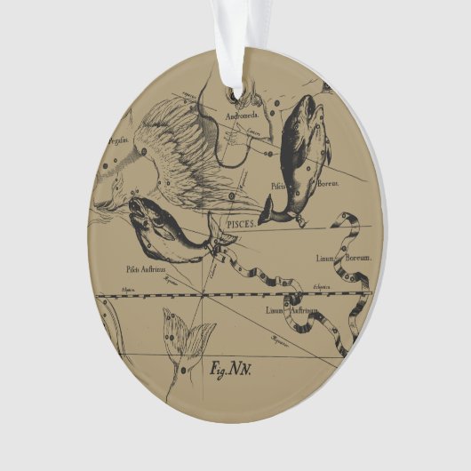 Pisces Constellation Hevelius 1690 Engraving Ornament (voorkant)