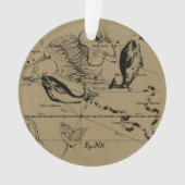 Pisces Constellation Hevelius 1690 Engraving Ornament (voorkant)