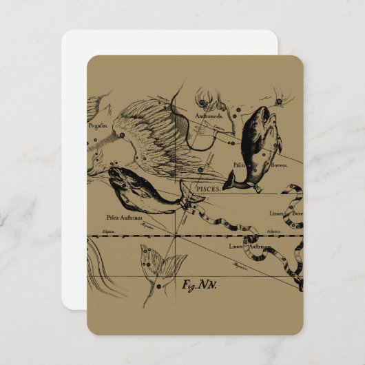 Pisces Constellation Hevelius 1690 feb19 - maart 2 (Voorkant / Achterkant)