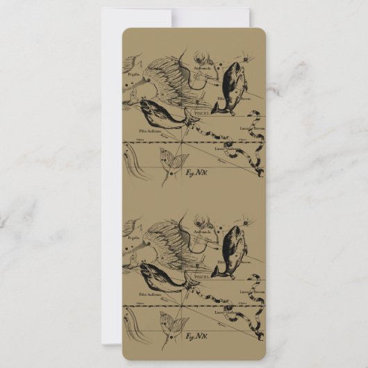 Pisces Constellation Hevelius 1690 feb19 - maart 2 (Voorkant)