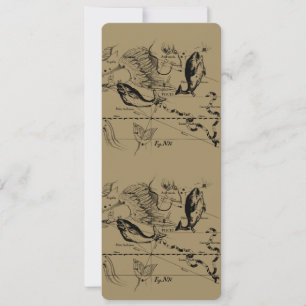 Pisces Constellation Hevelius 1690 feb19 - maart 2