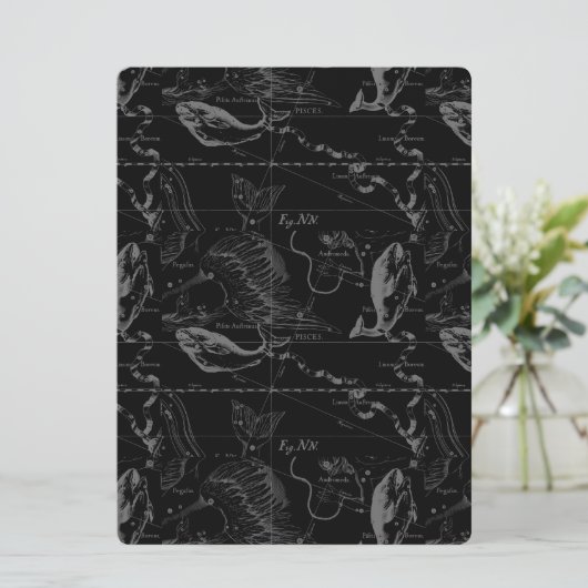 Pisces Constellation Hevelius 1690 feb19 - maart 2 (Staand voorkant)