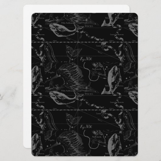 Pisces Constellation Hevelius 1690 feb19 - maart 2 (Voorkant / Achterkant)