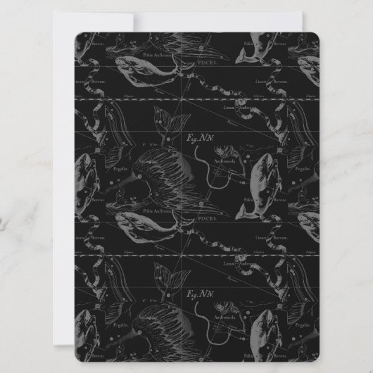 Pisces Constellation Hevelius 1690 feb19 - maart 2 (Voorkant)