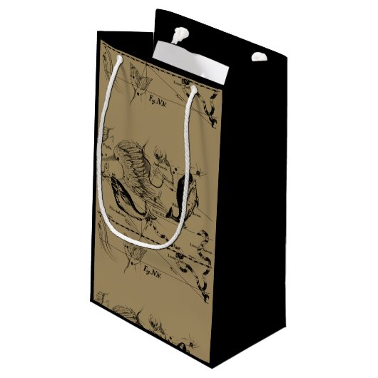 Pisces Constellation Hevelius 1690 feb19 - maart 2 Klein Cadeauzakje (Achterkant Gekanteld)