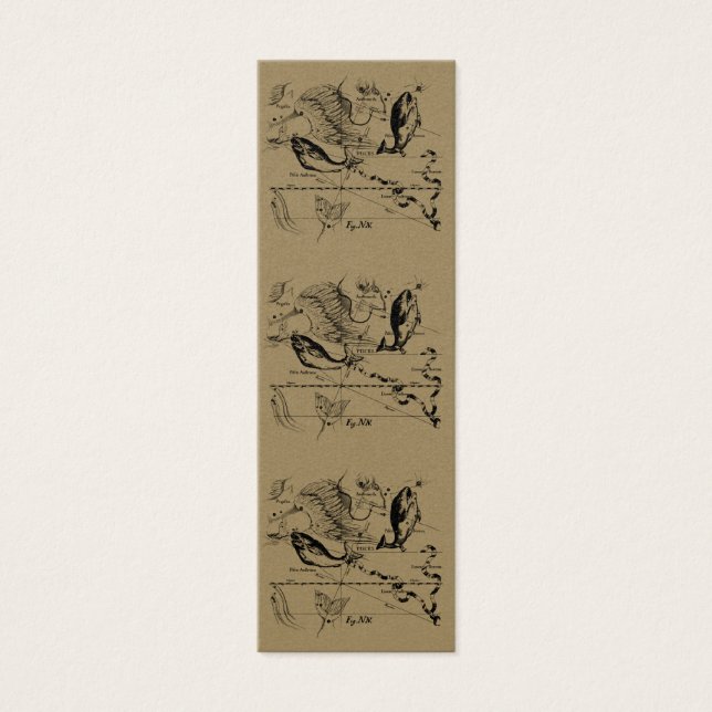 Pisces Constellation Hevelius 1690 feb19 - maart 2 Mini Visitekaartjes (Voorkant)