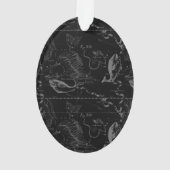 Pisces Constellation Hevelius 1690 Map Engraving Ornament (achterkant)