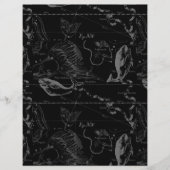 Pisces Constellation Hevelius 1690 on Black (Voorkant)