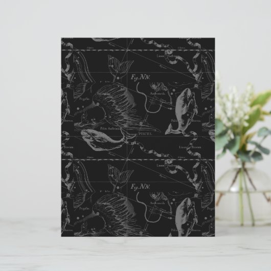 Pisces Constellation Hevelius 1690 on Black (Staand voorkant)