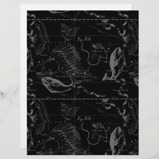 Pisces Constellation Hevelius 1690 on Black (Voorkant / Achterkant)
