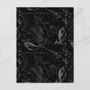 Pisces Constellation Hevelius 1690 on Black Briefkaart