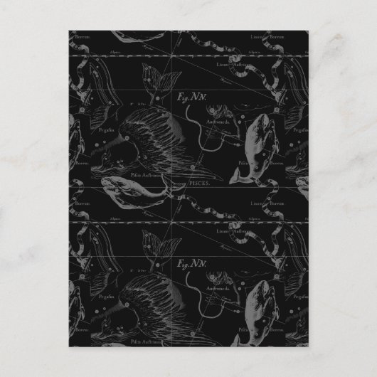 Pisces Constellation Hevelius 1690 on Black Briefkaart (Voorkant)