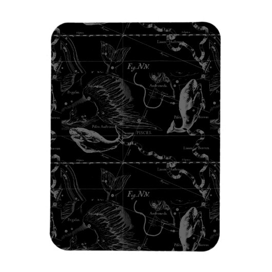 Pisces Constellation Hevelius 1690 on Black Magneet (Verticaal)