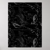 Pisces Constellation Hevelius 1690 on Black Poster (Voorkant)