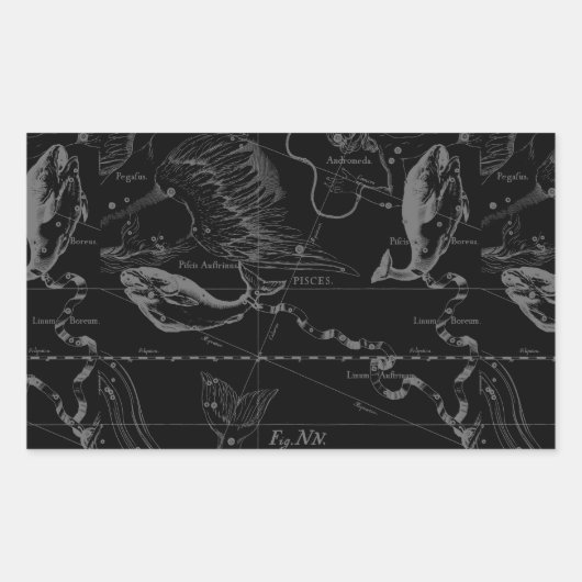 Pisces Constellation Hevelius 1690 on Black Rechthoekige Sticker (Voorkant)