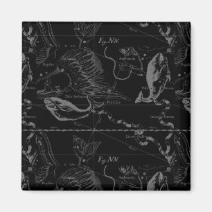 Pisces Constellation Hevelius 1690 op Black Magneet