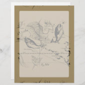 Pisces Constellation Hevelius 1690 op Taupe (Voorkant / Achterkant)