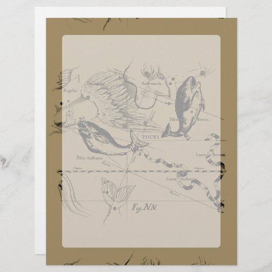 Pisces Constellation Hevelius 1690 op Taupe (Voorkant / Achterkant)