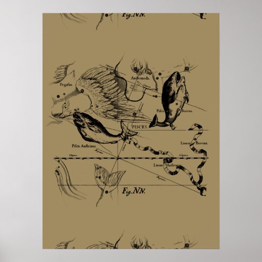 Pisces Constellation Hevelius 1690 op Taupe Poster (Voorkant)