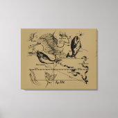 Pisces Constellation Hevelius circa 1690 Canvas Afdruk (Voorkant)