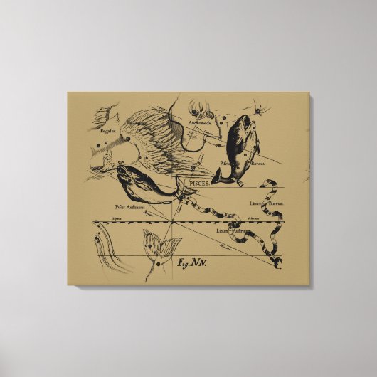 Pisces Constellation Hevelius circa 1690 Canvas Afdruk (Voorkant)