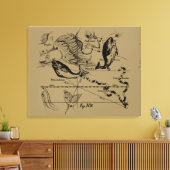 Pisces Constellation Hevelius circa 1690 Canvas Afdruk (Insitu (Woonkamer))