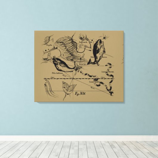 Pisces Constellation Hevelius circa 1690 Canvas Afdruk (Insitu (Houten vloer))