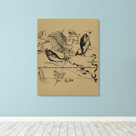 Pisces Constellation Hevelius circa 1690 Canvas Afdruk (Insitu (Houten vloer))