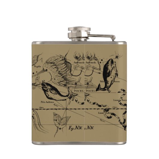 Pisces Constellation Hevelius circa 1690 Heupfles (Achterkant)
