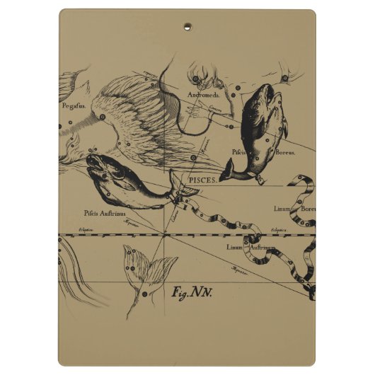 Pisces Constellation Hevelius circa 1690 Klembord (Achterkant)