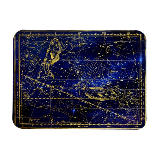 pisces constellation magnet magneet (Horizontaal)