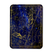 pisces constellation magnet magneet (Verticaal)