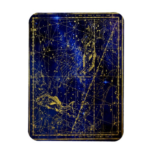 pisces constellation magnet magneet (Verticaal)