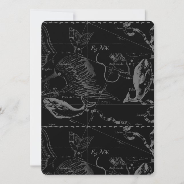 Pisces Constellation Map door Hevelius 1690 (Voorkant)