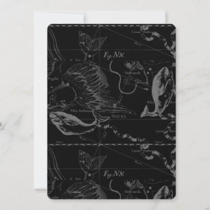 Pisces Constellation Map door Hevelius 1690