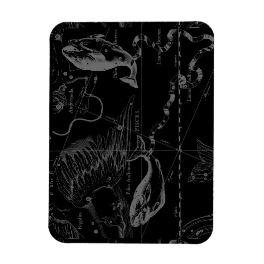 Pisces Constellation Map door Hevelius 1690 Magneet (Verticaal)