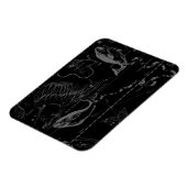 Pisces Constellation Map door Hevelius 1690 Magneet (Linkerzijde)