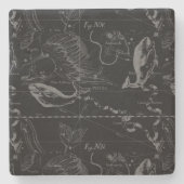 Pisces Constellation Map door Hevelius 1690 Stenen Onderzetter (Voorkant)