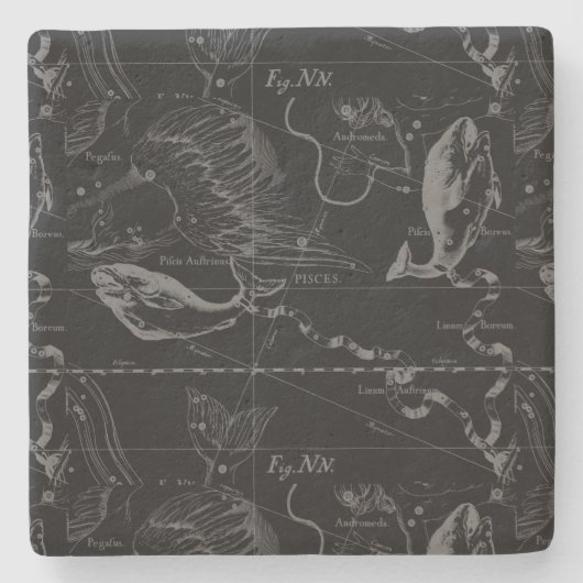 Pisces Constellation Map door Hevelius 1690 Stenen Onderzetter (Voorkant)