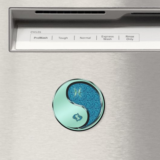 Pisces de vis magneet (Insitu (Vaatwasser))