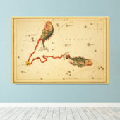 Pisces de vis -  teken van het Afbeelding van de d Canvas Afdruk (Insitu (Houten vloer))