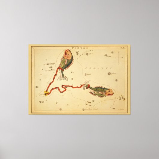 Pisces de vis -  teken van het Afbeelding van de d Canvas Afdruk (Voorkant)