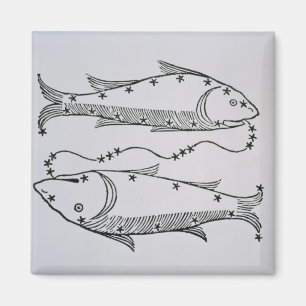 Pisces (de Vissen) een illustratie uit de 'dichter Magneet